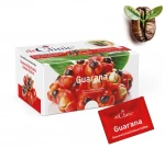 Dr.Clinic Guarana Ekstraktlı Instant Kahve