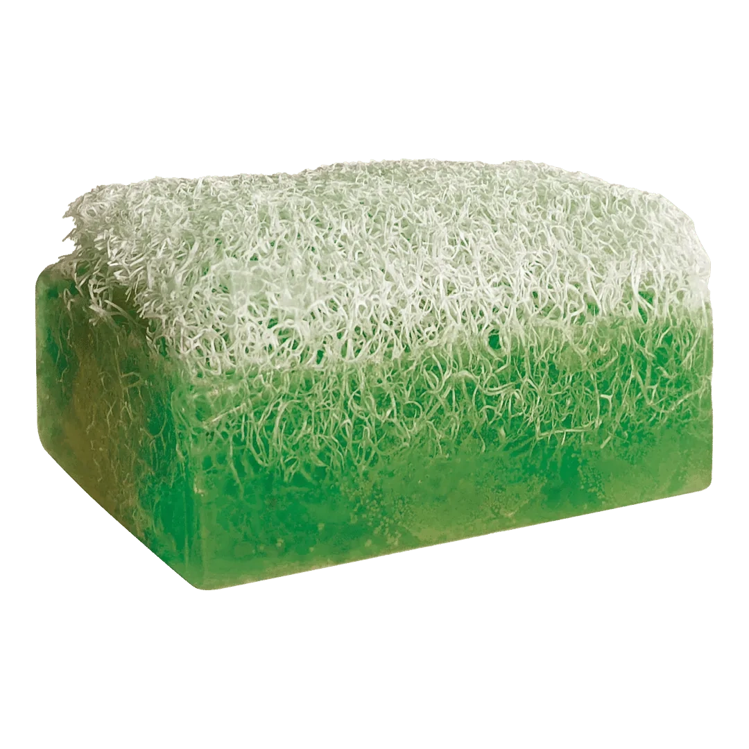 Dr.Clinic Kabak Lifli Aloe Vera Özlü Sabun 110 Gr